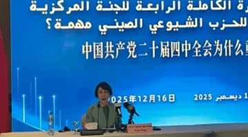 التعاون بين الصين ومصر 5 مجالات أساسية تحدد خريطة الشراكة خلال السنوات القادمة 1